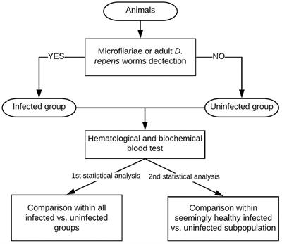 Hematological and Biochemical Changes in Dogs Naturally Infected With Dirofilaria repens